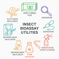 Insect Analyses